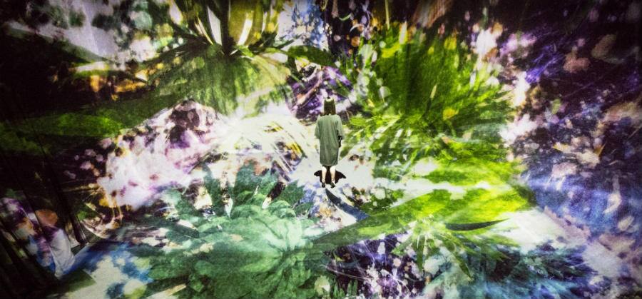 Amos Rex’s first exhibition showcases digital art by a Japanese group of artists called teamLab. They are known for their immersive digital installations, where colors play an important role.